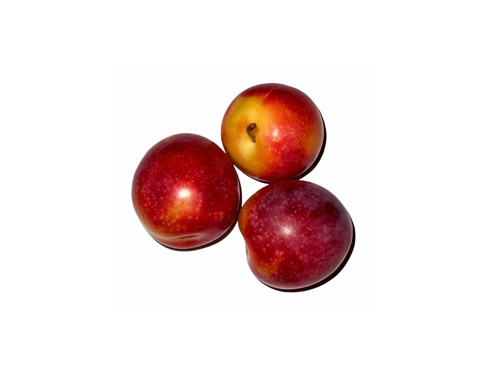 Fresh Bukhara Plum - 1 Pound ( Alu Bokhara ) - Fresh Fruit - Kalamala - Kalamala