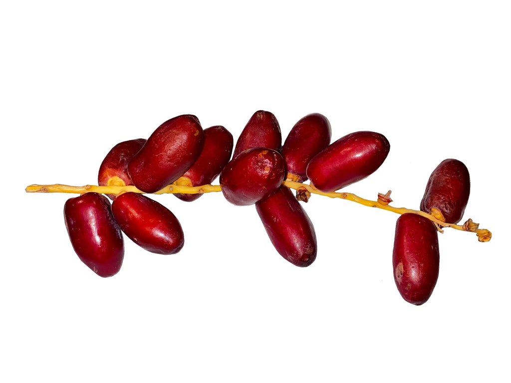 Fresh Red Date - 1 pound ( Khorma kharak ) - Fresh Dates - Kalamala - Kalamala