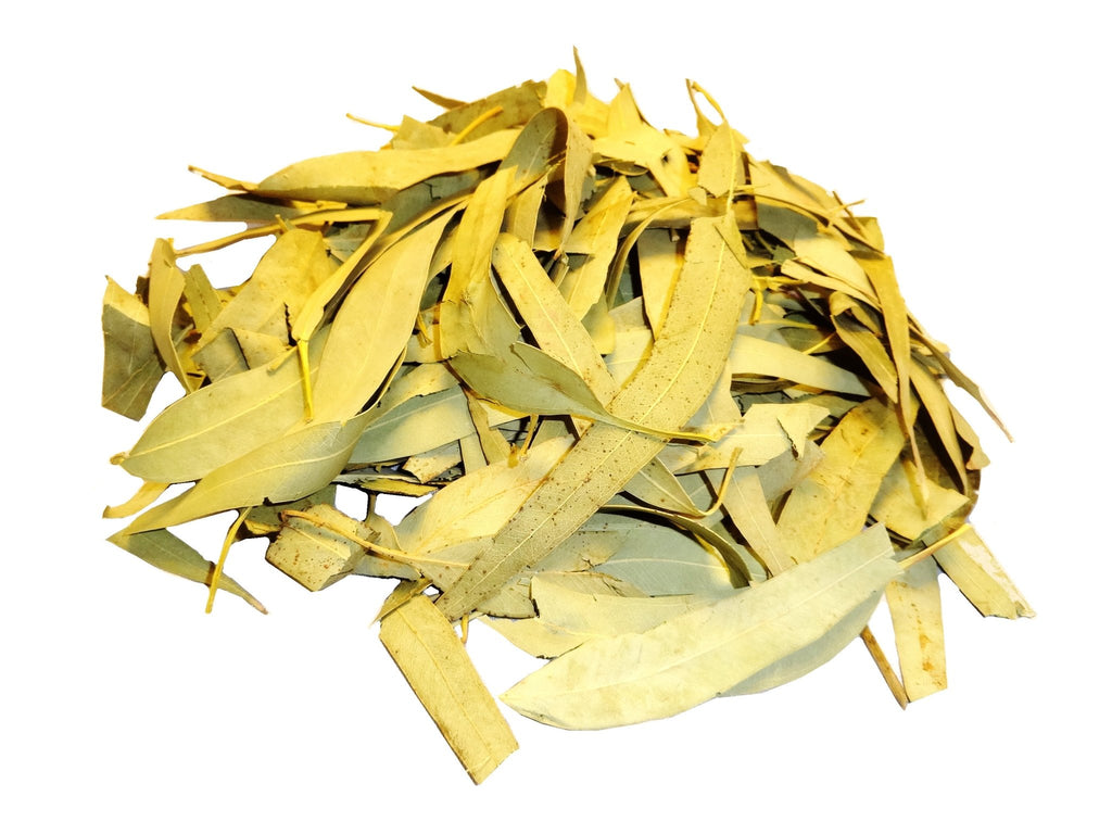 Premium Eucalyptus Leaves - Dried Herbs - Kalamala - Kalamala